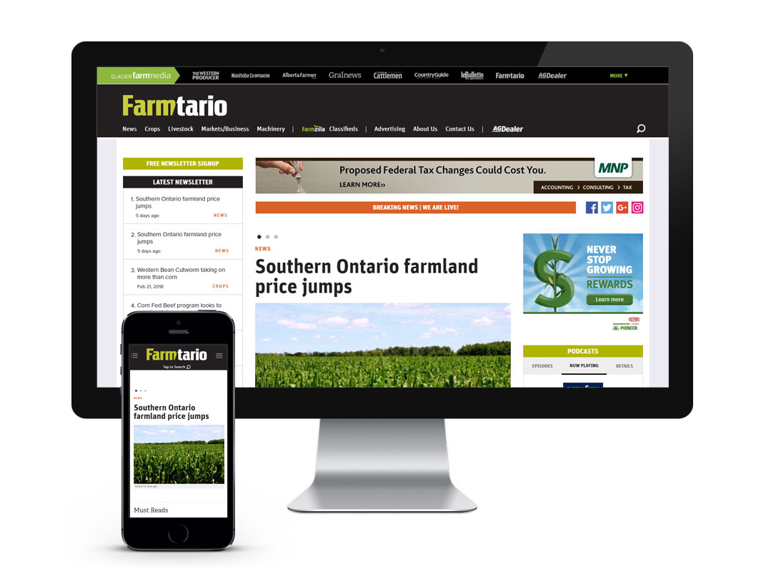 farmtario-photo